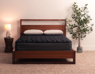soft plush luxury hybrid mattress cool cover, best reviews, made at Tempurpedic-Sealy Posturepedic plant, Mattress by Appointment discount mattress store